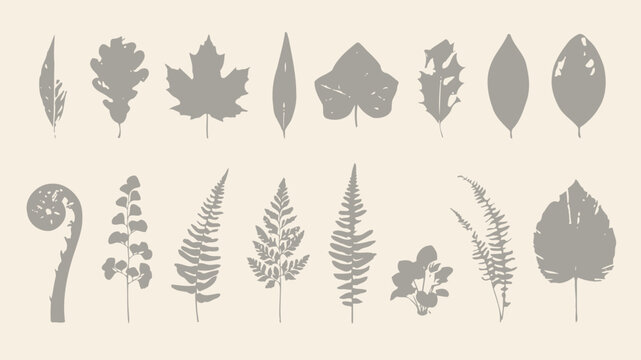 Gray leaf icons on beige background leaves botanical plant plants nature