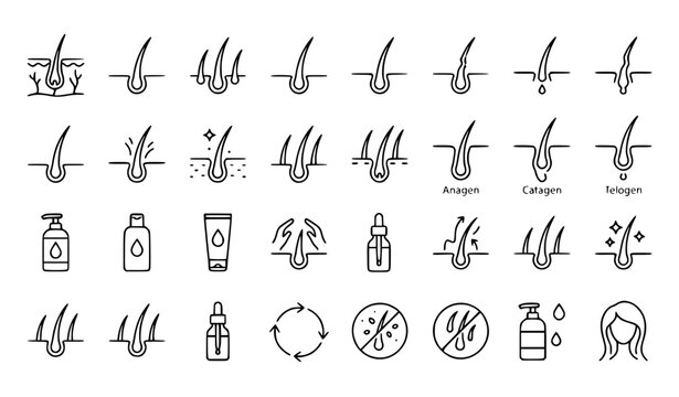 Hair Care and Follicle Growth Thin Line Icon Set Vector EPS 10