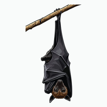 Upside-down bat on a branch vector illustration