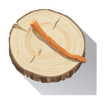 Wooden log cross section with axe on transparent background