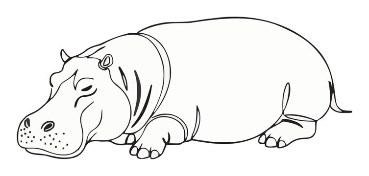 Sleeping hippopotamus vector minimalist icon isometric. Generative AI