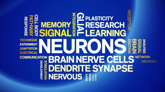 Neurons animated word cloud-text design animation tag kinetic typography seamless loop.