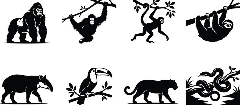 Black silhouette illustrations of tropical rainforest animals including gorilla, gibbon, spider monkey, sloth, tapir, toucan, jaguar, and snake