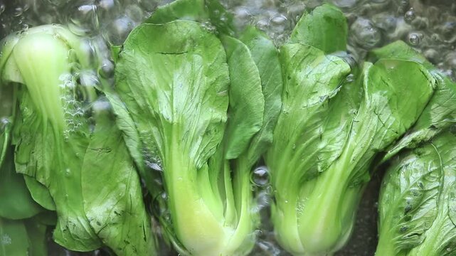 Boiling fresh pak choi or bok choy in hot bubbling water inside a pot. Top view shot