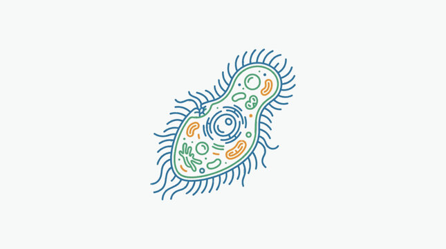 Microscopic Paramecium Protozoa Cell Illustration.