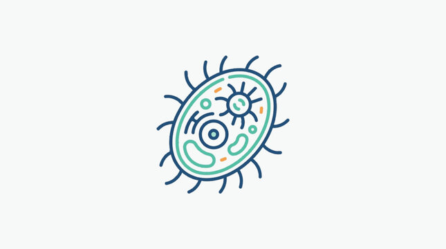 Microscopic organism with internal structures and external cilia.