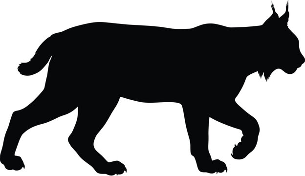 Black, and, white, silhouette, illustration, of, a, wild, walking, lynx, isolated, feline, predator, vector, graphic, design, element, nature, wildlife, animal.