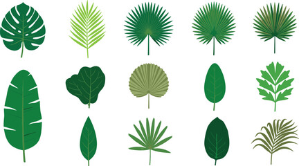 Fototapeta premium Tropical palm leaves vector illustration set featuring green monstera banana leaf fan palm fiddle leaf fig fronds and exotic jungle botanical elements.