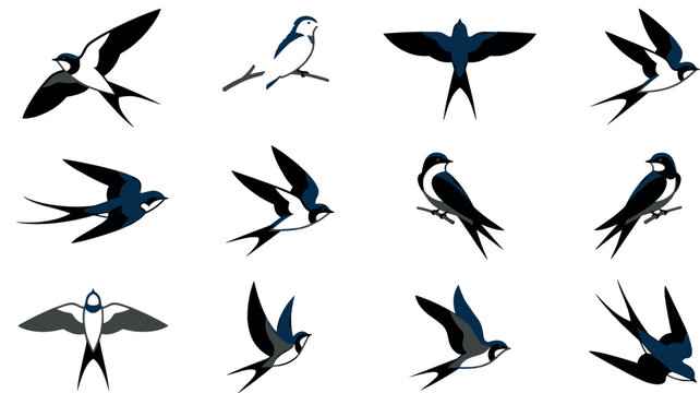Barn swallow bird vector icon collection featuring flying and perched swallows martin silhouettes fork tail shapes and migratory nature wildlife elements.