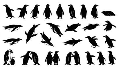 Penguin silhouette collection with various poses vector isolated on white background © MD ASHIK MIA