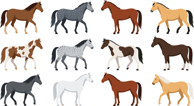 Horse breeds vector collection set featuring diverse colorful horses walking and trotting including pinto appaloosa stallion palomino mustang and mare icons isolated on white background