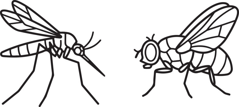 Mosquito and Housefly Line Art Illustration: Insect Outline Sketch Set for Kids Coloring Page. Simple Black and White Bugs Cartoon Vector Clip Art Isolated on White Background - Generative AI