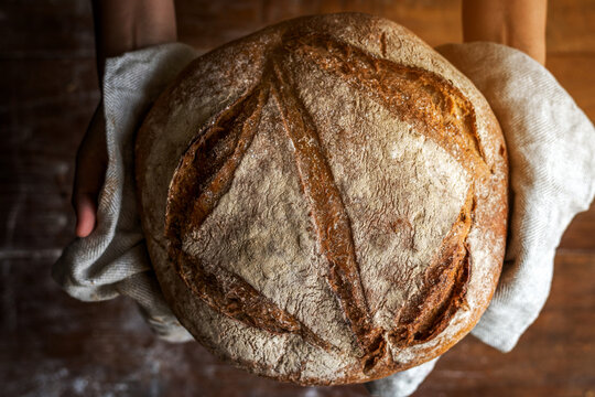 Rustic artisan sourdough bread held in gloved hands