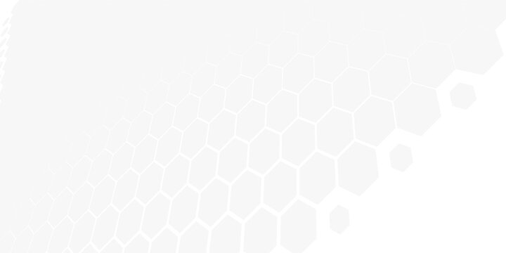 White and grey futuristic abstract background with multi-scale hexagon elements. Minimalist geometric vector layout for corporate brochure and banner header.