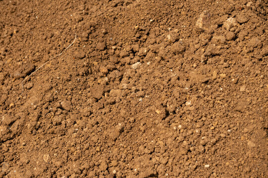 Close-up texture of loose, dry brown soil or mud. It appears to be a mixture of fine particles, small rocks, and organic matter.