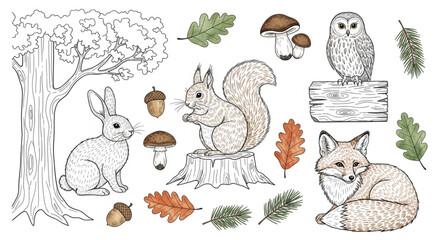 Obraz premium Vintage watercolor autumn woodland animals vector illustrations with classic ink drawing sketches of fall wildlife