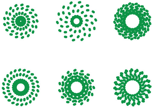Green Dotted Circular Mandala Spirograph Pattern Collection Set Vector Illustration Decorative Ornamental Design Elements Isolated on White