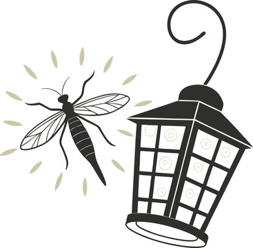 dragonfly on a white background vector