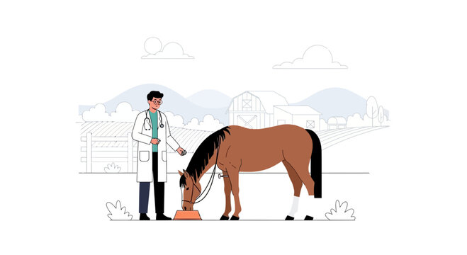 Veterinarian caring for a horse, feeding healthy equidae on a farm