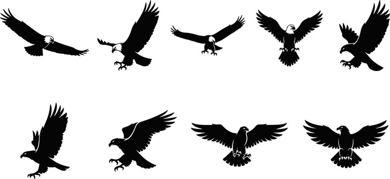 Eagle silhouette collection, flying and landing poses, majestic bird of prey, freedom symbol, wildlife illustration, black vector design set