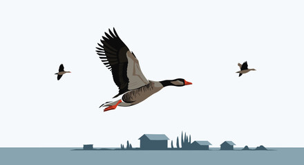 Obraz premium Group of geese flying in formation over minimalist silhouettes of farm houses and barns during early morning or late evening.
