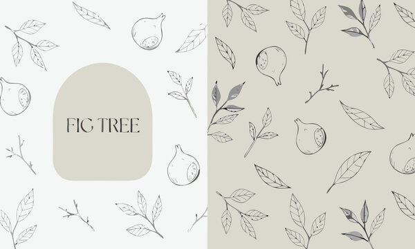 Plant Leaves and Fruit Icons Pattern with Clean Two-Panel Brand Layout and Minimal Logo Wordmark Fic Tree