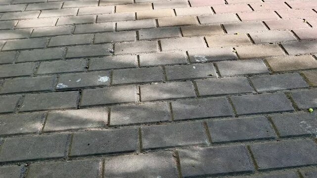 Low angle view of a paved brick walkway with shifting sunlight and soft shadows. The scene highlights urban pavement texture, outdoor surfaces, pedestrian paths, and everyday city details
