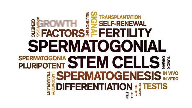 Spermatogonial Stem Cells animated word cloud-gross domestic product animation tag kinetic typography seamless loop.