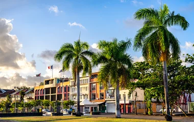 View of colorful urban buildings and tall palm trees at La Savane Park in Fort de France, Martinique, under a blue sky. © Leonid Andronov