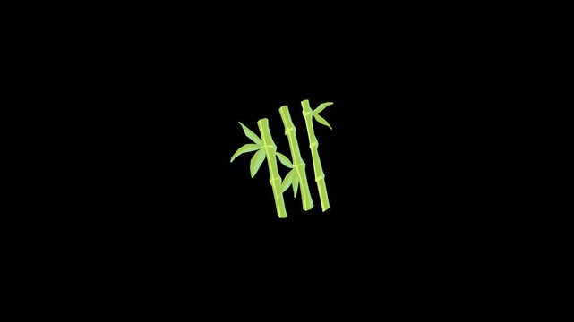 Sugarcane icon icon animation isolated on alpha channel background 