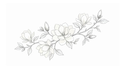 Fototapeta premium Elegant magnolia flower branch sketch, hand drawn botanical line art vector, minimalist floral blossom illustration for wedding invitations