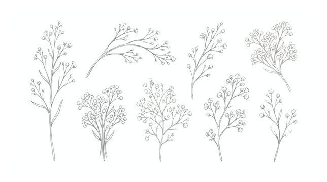 Hand drawn gypsophila floral vector set, delicate baby's breath flower line art, minimalist botanical sketches for wedding invitations and stationery