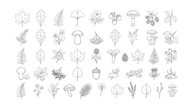 Vintage botanical line art collection, 45 forest leaves and mushroom icons, hand drawn autumn foliage and floral vector set for branding
