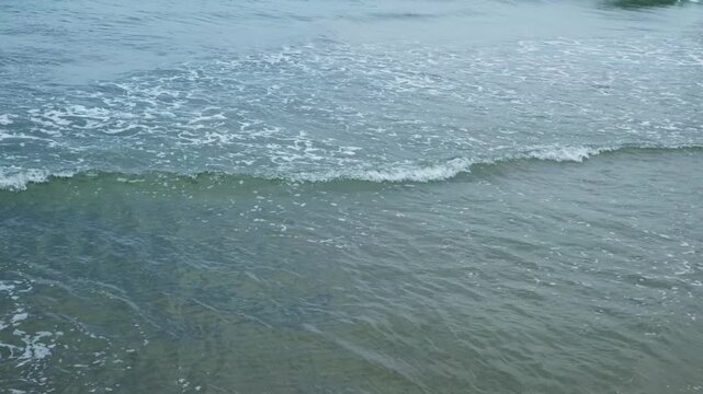 穏やかな波が打ち寄せる海辺の風景