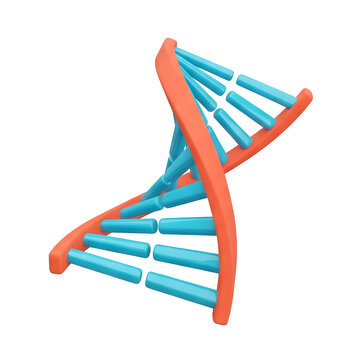 3D Render of a DNA Double Helix Model