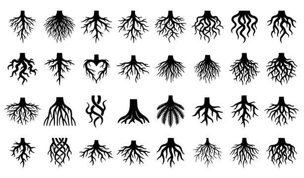 Diverse Tree Root System Icons Collection Vector Set Isolated on White Background