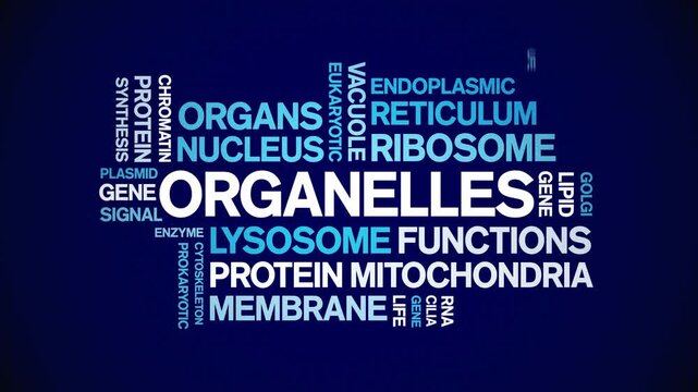 Organelles animated word cloud-gross domestic product animation tag kinetic typography seamless loop.