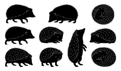 Group of hedgehog silhouettes in different postures including curled walking and standing poses vector illustration © Emdadul