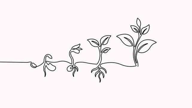 Continuous single-line drawing animation of a seed germinating and growing into a plant with roots and leaves on a white background.