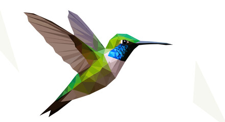 Geometric low poly hummingbird in mid-flight on white. © Sendal