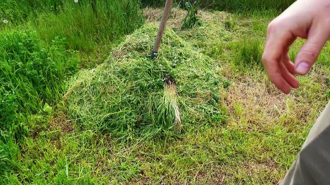 A person stands next to a large pile of freshly cut grass and hay in a vibrant green field, ready for collection