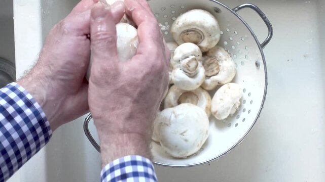 Male hands wash champignons under running water over a metal colander in a kitchen sink. Concept of healthy eating and using natural sweeteners. Ideal for nutrition, vegan diet, and cooking content