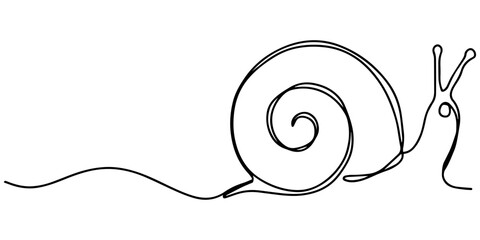 snail continuous one line drawing, snail conch continuous line vector illustration, Continuous line drawing of conch snail shell. Single line illustration of ocean conch shell, Snail continuous one  © Line sA