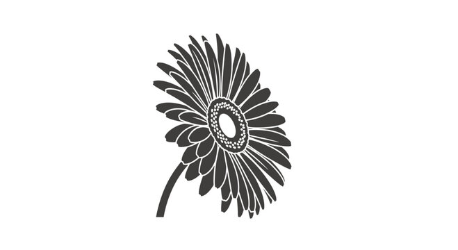 Detailed black and white gerbera flower head.