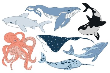 Cute Ocean Animals Collection. Whale, Shark, Orca, Octopus, Narwhal and Whale Shark Hand Drawn Illustration Set © Oksana Faliush