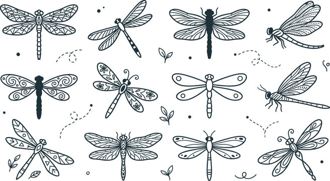 Hand drawn dragonfly and damselfly insects collection with decorative wings doodle line art vector set