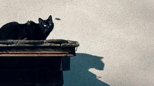 Chat noir assis sur un toit de tuiles sous une ouverture en pierre g&eacute;om&eacute;trique dans un mur ensoleill&eacute;
