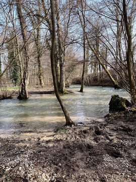 Petite rivi&egrave;re calme traversant une for&ecirc;t de feuillus au d&eacute;but du printemps