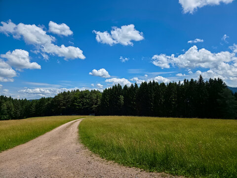 germany, inspiring countryside trail stretching endlessly through pastures with forest backdrop and radiant skies