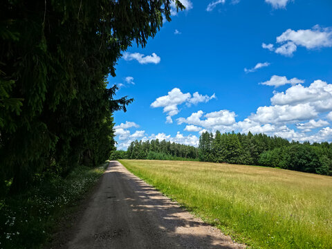 germany, endless shaded hiking trail beside flourishing pastures under brilliant blue black forest skies